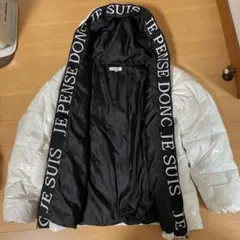 EVOLUTION】ロゴデザイン/シャイニ－シレ加工 / ファイバーダウン