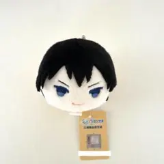 2026年最新】もちマス ハイキュー 影山の人気アイテム - メルカリ
