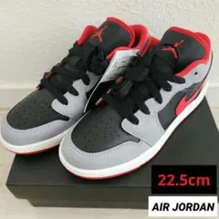 ☆新品未使用☆ナイキ エア ジョーダン ジュニアスニーカー 22.5cm