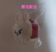 【新品未開封】SKZOO ミニバッグチャーム ツムツム ぬいぐるみ 8種 SKZOO ミニバッグチャーム Changbin チャンビン トエッキ