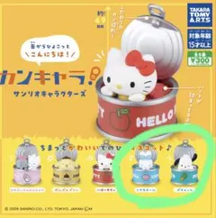 サンリオキャラクターズ　カンキャラ　 2種セット