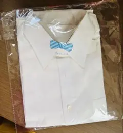 Item thumbnail for item db3bfc9e-eed4-4cb7-8bff-76aee85d7688