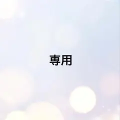 ゆきりん様　専用出品