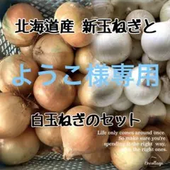 ようこ様専用 玉ねぎ&白玉ねぎ 5キロ