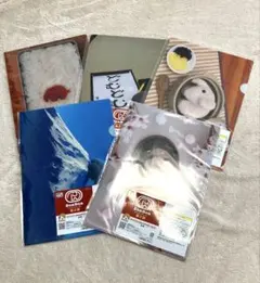 Item thumbnail for item 0f3f8aa8-5523-498d-bb40-25a40a7c13bd