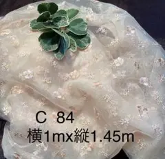 Item thumbnail for item a4ac6cf4-3e2e-4772-af6e-433d3c6ea10e