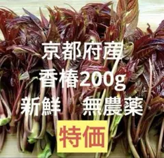 京都府産　香椿　1kg 無農薬 京都府産 香椿 200g 無農薬 匿名配送 - メルカリ