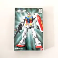건담 FG-01 RX-78-2 1/144 20주년 프라모델 반다이