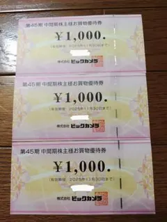 ビックカメラ　お買物優待券　3000円分