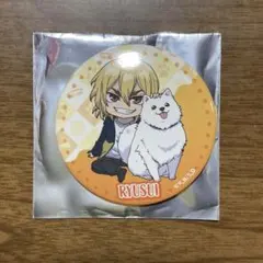 ○ Dr.STONE with Dogs 缶バッジ 七海龍水 ② - メルカリ