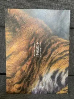 図録 大橋翠石 〜虎を極めた孤高の画家〜 展覧会 - メルカリ