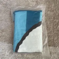 Item thumbnail for item 7cb782b5-acc7-4d62-97ef-0bdc8edc0fc0