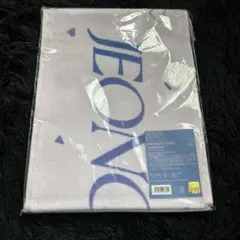 ジョンハン マフラータオル　LOVE グッズ　seventeen