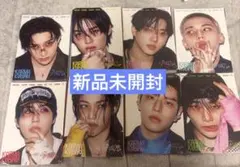 straykids KARMA accordion 8枚セット