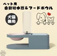 애완 동물 식기 ★ 자동 물 디스펜서가 달린 더블 보울 애완 동물 사료 그릇