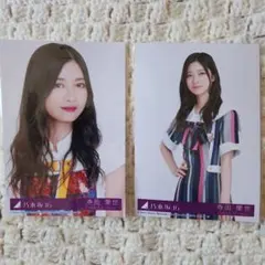 Item thumbnail for item 184c2cd3-0acd-4399-a5f2-15ad37483a6a