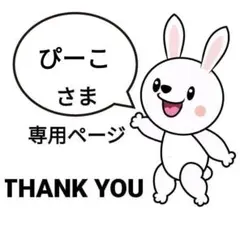 ぴーこ　種の複数購入2点目より▲50円様 リクエスト 2点 まとめ商品