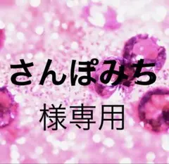 さんぱみち様専用