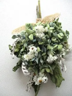 グリーン系紫陽花ドライフラワースワッグ【普通郵便】