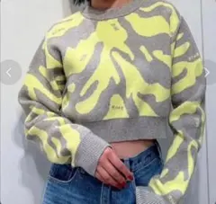 GYDA ゼブラニットセーター