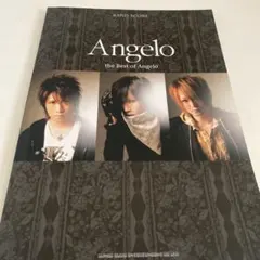 2026年最新】ANGELO キリト pierrotの人気アイテム - メルカリ