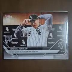 Item thumbnail for item d54bd990-85d1-43b4-bb9d-81d68c5a9578