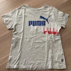 Item thumbnail for item 33833304-2b28-4d05-9a1f-c946cc342399