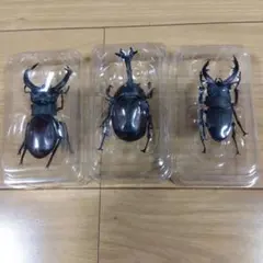 昆虫ハンター３個セットのサムネイル