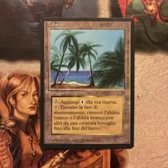 2026年最新】Tolaria mtgの人気アイテム - メルカリ