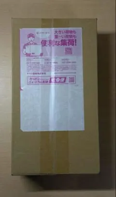 ポケモンカードゲーム スペシャルBOX ポケモンセンターフクオカ