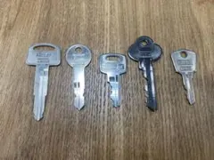 Item thumbnail for item 6915f0bd-83a1-4b55-959b-520a16c0de6a