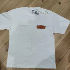 Item thumbnail for item c077e948-90e8-4e41-bbba-2e906a88a39a