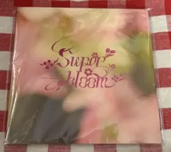 【未開封】あんスタ　スタフォニ　4th 特典パンフレット