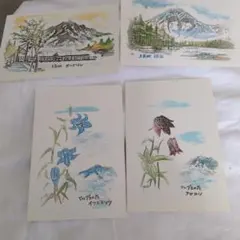 gon.gon様 リクエスト 4点 まとめ商品