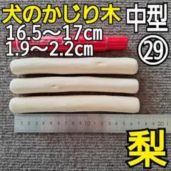 Item thumbnail for item c2cbd397-1183-4248-b1fa-ff48dec57331