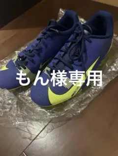 Item thumbnail for item 00a5a952-16ec-4558-aed4-33b907657fe0