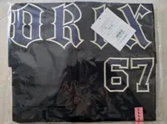 Item thumbnail for item 366418a0-cce7-4c00-9a4e-30eccdd59a22