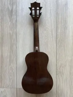 Item thumbnail for item c7792e3c-3d68-472b-a160-a771db00c39f