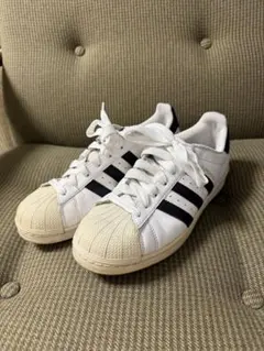 Item thumbnail for item 1bcde3fa-1621-4a33-9093-80ed357a1ae3