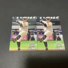 Item thumbnail for item 5fbaa6f5-0c97-434e-bac7-01a7e70c288f