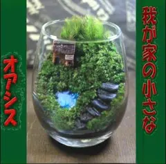苔テラリウム コケリウム ロボット兵 心癒す我が家のオアシス - メルカリ