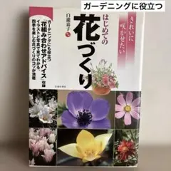 Item thumbnail for item 7d99f7bf-55ca-413a-8e9e-78312c559ccb