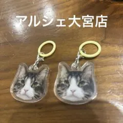 バラ売り可】 猫カフェmocha めじるしチャーム 池袋東口 - メルカリ
