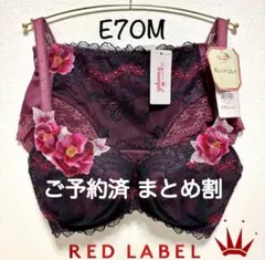 ＊E70M トリンプ プレミアム レッドレーベル 0094ブラ＆ショーツM014