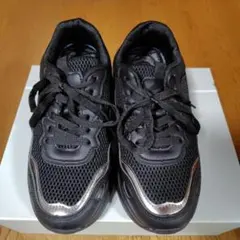 Item thumbnail for item 00c493b3-3eea-457f-839b-60726271c050