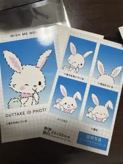 サンリオキャラクターズ　証明写真風スマロイドNG集？　ウィッシュミメール