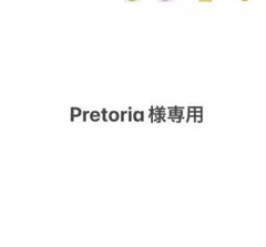 【Pretoria様専用】塩麹とバナナ200g×2