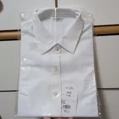 Item thumbnail for item 3ce0adf7-2e7f-421c-9a5a-713daa4d88bb