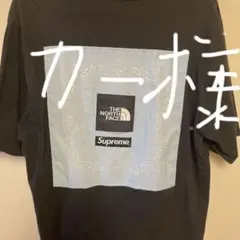 THE NORTH FACE × Supreme バンダナTシャツ L