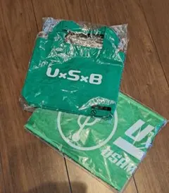 Item thumbnail for item 3d98d264-91ff-4fc2-b1b1-e182f812308c